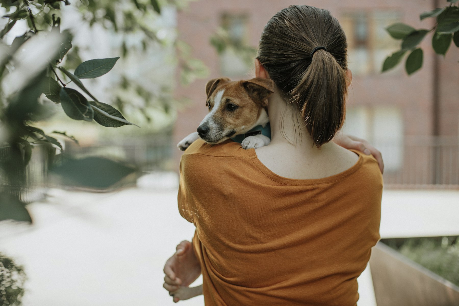 Una persona tiene in braccio il proprio cane all'aperto